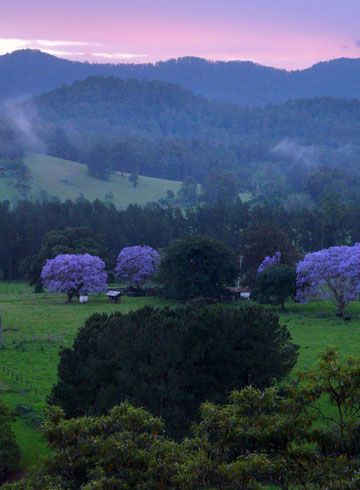 Bellingen Nsw, Australian Scenery, Australia Adventure, Coffs Harbour, House Miniatures, Nsw Australia, Rock Pools, Luxury Accommodation, The Deck