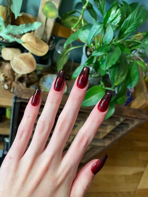 Dark Red Jelly Nails, Red Jelly Nails, Gothic Nail Designs, Nails Design Natural, Nail Contest, Dark Acrylic Nails, Red Chrome Nails, Red Gel Nails, Dark Red Nails