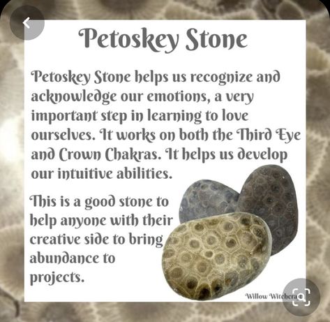 Petoskey Stone Meaning, Wishing Rocks, Rock Collection Display, Petosky Stone, Wishing Stones, Magic Spell Book, Hag Stones, Petoskey Stone, Crystal Guide