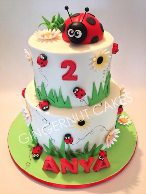 Milk chocolate fudge cake and vanilla cake. Ladybugs made from modelling chocolate. Ladybug Cake Ideas, Bug Cakes, Bug Birthday Cakes, Ladybird Cake, Girly Birthday Cakes, Milk Chocolate Fudge, Ladybug Cakes, Bug Cake, Ladybug Cake