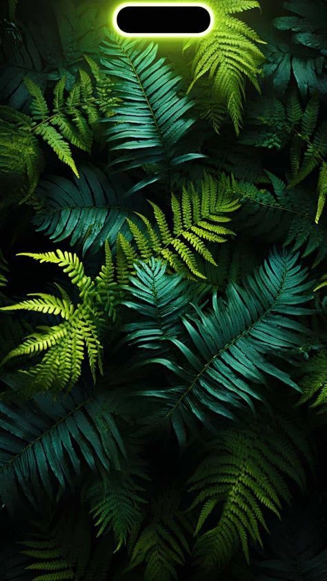 iPhone 15 Pro Max Dynamic Island Foliage Wallpaper - iPhone Wallpapers Iphone Dynamic Island, Dynamic Island, Dynamic Wallpaper, Iphone Wallpaper 4k, Island Wallpaper, Iphone Dynamic Wallpaper, Iphone Wallpaper Stills, Beautiful Wallpapers For Iphone, Wallpaper Earth