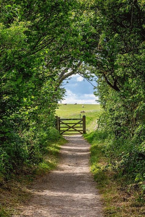 Country Living Uk, Country Scenes, Dirt Road, English Countryside, Green Trees, Pretty Places, Pilgrimage, Country Life, Country Living