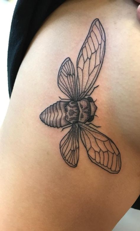 Cicada Drawing, Cicada Tattoo, Tasteful Tattoos, Hendersonville Nc, Gold Bodies, Charlie Puth, Animal Totems, Tattoo Inspo, Tattoo You