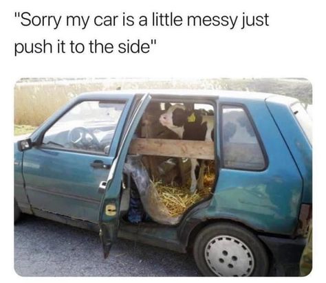 Messy Car, Funny Memes About Girls, Clean Memes, Car Memes, Friend Memes, Me Too Meme, Anime Memes Funny, Love Memes, Funny Love