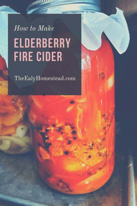 How to Make Elderberry Fire Cider | The Ealy Homestead Fire Cider With Elderberries, Herb Apothecary, Homeopathic Recipes, Fire Cider Tonic, Medicinal Recipes, Fire Cider Recipe, Elderberry Recipes, Fermented Veggies, Fire Cider