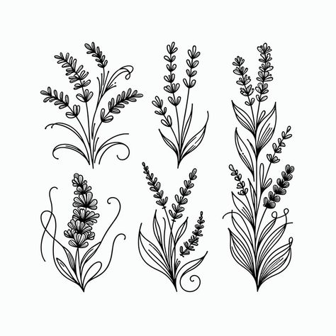 Elegant Lavender Mono-line SVG Pack Instant Download - Etsy Viking Drawings, Flower Svg Files, Zen Doodle Patterns, Flower Line Drawings, Lavender Aesthetic, Stylish Nails Designs, Paper Flower Wall, Embroidery Motifs, Flower Svg