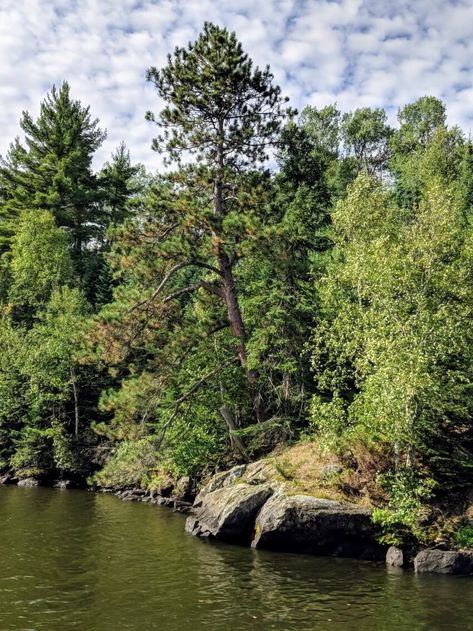 15 Best Things to Do in Voyageurs National Park 3 Rainy Lake, Voyageurs National Park, Travel Rewards Credit Cards, Duluth Pack, Outdoor Adventure Gear, Best Travel Backpack, Boreal Forest, Places To Explore, Hiking National Parks