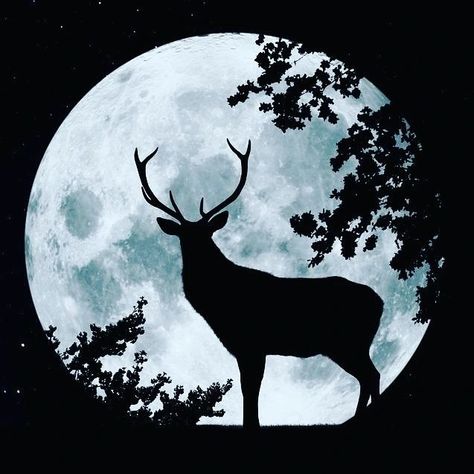 Buck Moon Meaning, Full Moon July, Full Buck Moon, Buck Silhouette, Buck Moon, Full Moon Spells, Thunder Moon, Male Deer, Next Full Moon