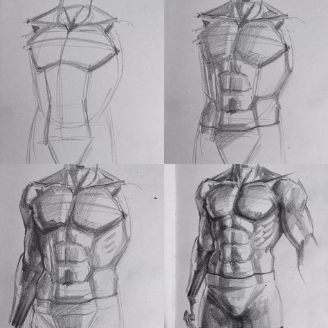 Human Anatomy Drawing, Human Figure Drawing, Human Anatomy Art, Anatomy Sketches, Anatomy Drawing, Poses References, Figure Drawing Reference, Pencil Art Drawings, Anime Drawings Tutorials