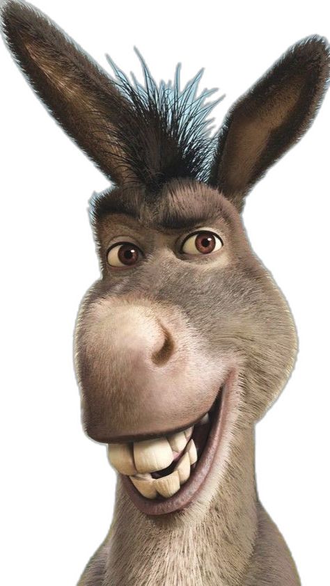 I chose a picture of Donkey from ‘Shrek’ because he is very chatty and annoys the impatient ogre with his remarks. Donkey From Shrek, Donkeys, Shrek, Collage, Pins, Quick Saves