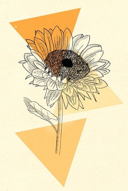 Sunflower Illustration, Sunflower Graphic, Sunflower Canvas, Original Iphone Wallpaper, Sunflower Wallpaper, Sunflower Art, Cute Notebooks, Sunflower Design, Stunning Wallpapers