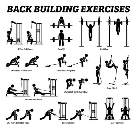 Back And Bicep Workout, Fitness Studio Training, Gym Antrenmanları, Lifting Workouts, Gym Machines, Fitness Routines, Workout Chart, Body Workout Plan, Workout Plan Gym