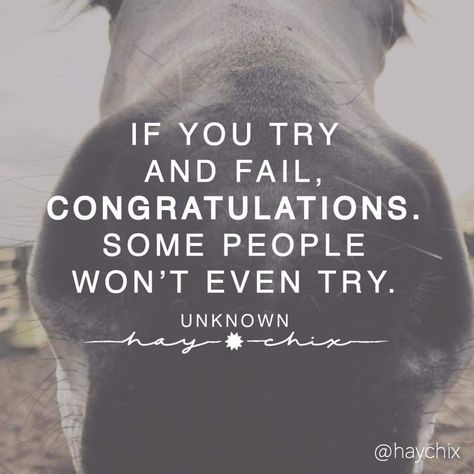 Country Lyrics Quotes, Cowgirl Secrets, Equine Quotes, Horse Quotes Funny, Inspirational Horse Quotes, Western Quotes, Feed Store, Cowboy Quotes, Cowgirl Quotes