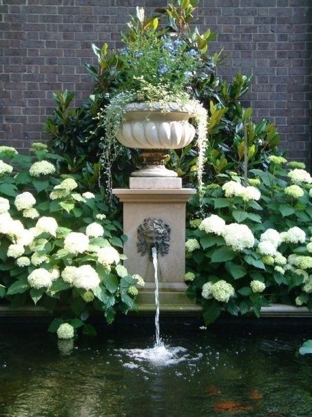 gorgeous - fountain flanked by hydrangeas. i like the idea of using white flowers because of all the shade.  just use colors in containers on the porches Kolam Koi, Fountain Ideas, Fountain Design, Hydrangea Garden, Garden Urns, Formal Garden, Water Pond, Italian Garden, Water Features In The Garden