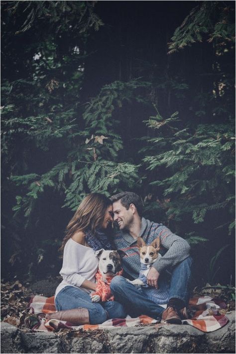 Christmas Family Pictures, Dog Family Pictures, Family Dog Photos, Love Shoot, Animals Christmas, Photos With Dog, Family Christmas Pictures, Dog Photoshoot, Photoshoot Idea