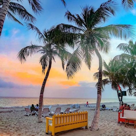 Playa el Yaque - Isla de Margarita 🌴  A veces prestamos atención a cosas tan insignificantes y no nos llenamos de buenas energías con estas… Couple Vision Board, Margarita Venezuela, Isla Margarita, Visual Board, D 2, Places To Go, Outdoor Decor, On Instagram, Instagram