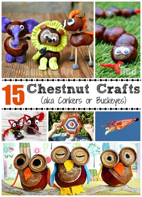 Christmas Chestnuts Decoration, Things To Make With Conkers, Chesnutt Craft, Horse Chestnut Craft, Buckeye Crafts Ideas, Conker Craft Ideas, Conker Activities, Conker Crafts, Chestnut Craft