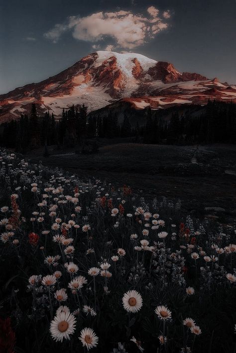 Mountain Aesthetic, Spring Nights, Rural Landscape, Spring Aesthetic, Night Aesthetic, Aesthetic Images, Nature Aesthetic, Aesthetic Videos, Mount Rainier