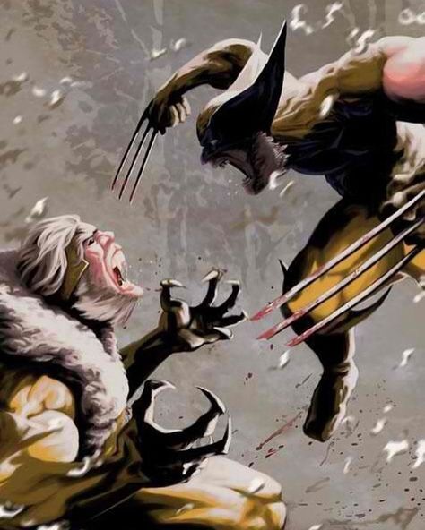 Wolverine vs Sabertooth Wolverine Art, The Wolverine, Wolverine Marvel, Marvel Vs Dc, Uncanny X-men, Comics Art, Marvel Vs, Super Villains, Comic Book Characters