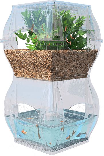 The Aqualibrium is modular (identical stackable sections hold the fish and the plants) and looks quite... Garden Fish Tank, Vertical Farm, Aquaponics Diy, Aquaponics System, Hydroponic Gardening, On A Boat, Flowering Plants, Diy Tags, Indoor Gardening