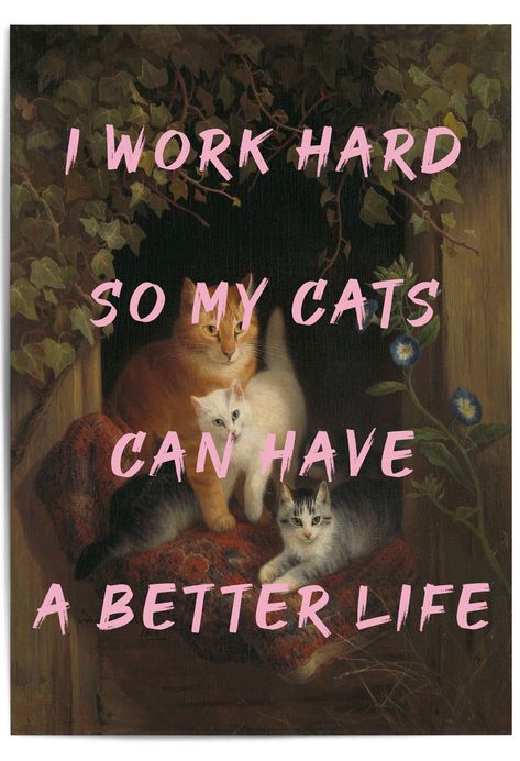 I work hard so my cats can have a better life in pink with vintage cat print Katharine Core, Christmas Wall Art Canvas, Colour Display, Funny Quote Prints, Cat Quote, Coffee Cup Art, My Lover, Fun Signs, Cat Artwork