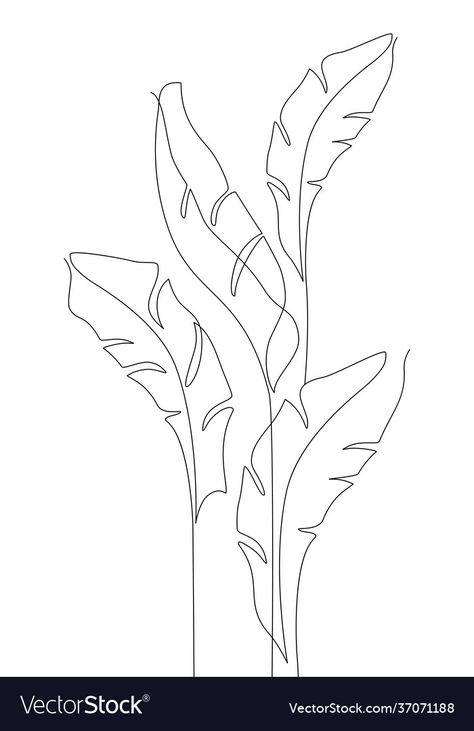 Banana Leaf Line Drawing, Tropical Leaves Line Art, Bird Of Paradise Line Drawing, Tropical Leaves Drawing Simple, Tropical Leaf Line Art, Tropical Leaves Outline, One Line Leaf Drawing, Jungle Line Art, Banana Leaves Tattoo