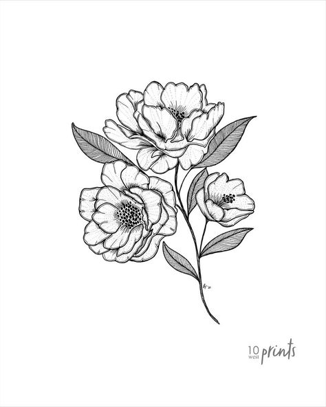 A lovely little Camellia branch. Alabama's state flower. Available as a digital download in the following sizes: 5x7, 8x10, 11x14, 16x20 and 18x24. Alabama State Flower Tattoo, Camellia Flower Tattoos, Camellia Tattoo Design, State Of Alabama Tattoo, Camilla Tattoo Flower, Camellia Flower Illustration, Camelia Drawing, Camellia Flower Drawing, Camelia Flower Tattoo