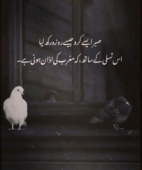 Inspirational Quotes In Urdu, Lonliness Quotes, Poetry Pic, True Feelings Quotes, Cool Science Facts, Mothers Love Quotes, Inspirational Qoutes, Remember Quotes, Phone Wallpaper Quotes