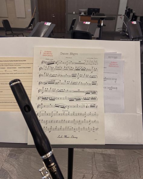 #piccolo #orchestra Piccolo Flute Aesthetic, Flutist Aesthetic, Concert Band Aesthetic, Piccolo Aesthetic, Orchestra Aesthetic, Musician Lifestyle, Flute Aesthetic, Piccolo Instrument, Piccolo Flute