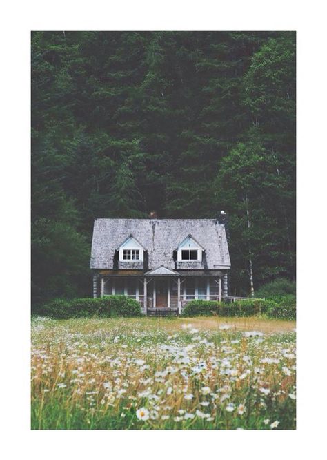 Middle Of Nowhere, Hearth And Home, Cabins And Cottages, Cabin Life, Taos, Cabins In The Woods, Little Houses, Country Life, My Dream Home