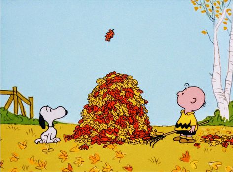 Laptop Wallpaper Fall Aesthetic, Thanksgiving Snoopy, Charlie Brown Wallpaper, Halloween Desktop Wallpaper, Peanuts Wallpaper, The Great Pumpkin Charlie Brown, It's The Great Pumpkin Charlie Brown, Charlie Brown Thanksgiving, Great Pumpkin Charlie Brown