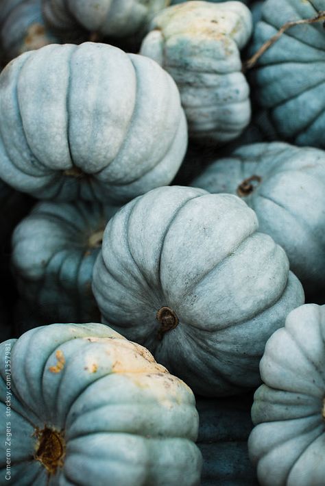 Cinderella Pumpkin Aesthetic, Blue Fall Aesthetic Wallpaper, Fall Blue Aesthetic, Fall Aesthetic Blue, Blue Autumn Aesthetic, Blue Fall Aesthetic, Blue Fall Wallpaper, Echo Aesthetic, Cottage Halloween