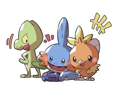 Hoenn Starters, Hoenn Region, Pokemon Starters, Cute Pikachu, Cool Pokemon Wallpapers, Pokemon Drawings, Cool Pokemon, Cute Pokemon, Pokemon Art