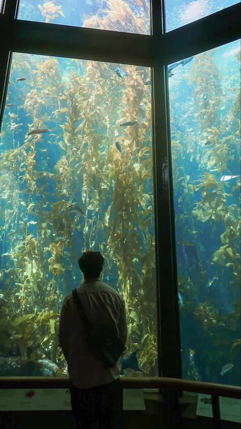 aquarium photoshoot (men) : silhouette photoshoot : shot on g7x : monterey bay aquarium Monterey Bay Aquarium Outfit, Aquarium Pose Ideas, Aquarium Pics, Aquarium Photoshoot, Aquarium Photo Ideas, Aquarium Poses, Aquarium Photo Ideas Aesthetic, Aquarium Photoshoot Aesthetic, Aquarium Instagram Pictures