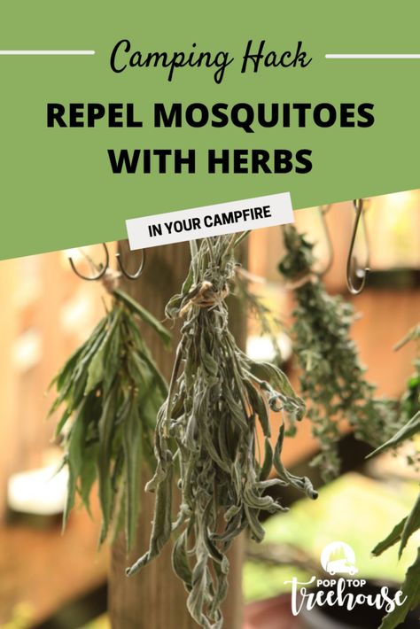 Moskito Repellant, Mosquitoes Remedies, Camping Hack, Mosquito Repellent Homemade, Diy Mosquito Repellent, Best Mosquito Repellent, Simple Camping, Mosquito Spray, Mosquito Protection