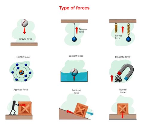 Types of Forces Diagram Contact And Non Contact Forces, Force Physics, Types Of Forces, Science Diagram, Diagram Ideas, Robot Decorations, Chemistry Between Two People, Science Diagrams, Force And Pressure