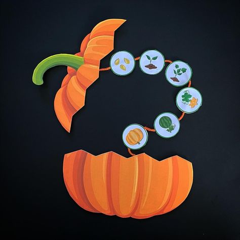 Pumpkin Life Cycle Preschool, Pumpkin Cycle, Parts Of Pumpkin, Pumpkin Life Cycle Craft, Pumpkin Parts, Flower Activities For Kids, Life Cycles Kindergarten, Life Cycles Preschool, Life Cycle Of A Pumpkin