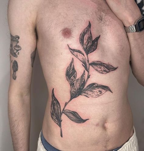 Plant Back Tattoo, Pothos Tattoo, Dinosaur Tattoo, Tattoo 2024, Top Surgery, Nyc Tattoo, Torso Tattoos, Plant Tattoo, Gothic Tattoo