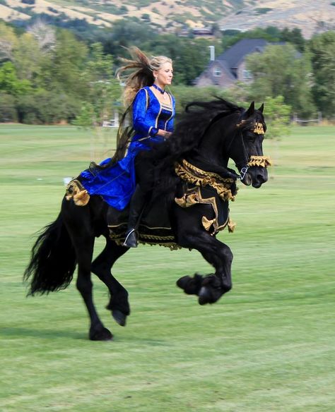 The Magnificent Friesian Spirit - Apollo, Ster Friesian stallion standing at stud at Royal Grove Stables http://www.royalgrovestables.com/ Medieval Lady, Medieval Horse, Friesian Stallion, Horse Costumes, Wilde Westen, Black Horses, Most Beautiful Horses, Friesian Horse, Majestic Horse