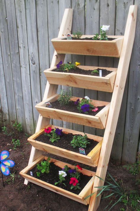 Herb Garden Ladder, Herb Ladder, Flower Ladder, Garden Ladder Ideas, Ladder Garden, Ladder Diy, Vertical Herb Gardens, Ladder Planter, Plant Ladder