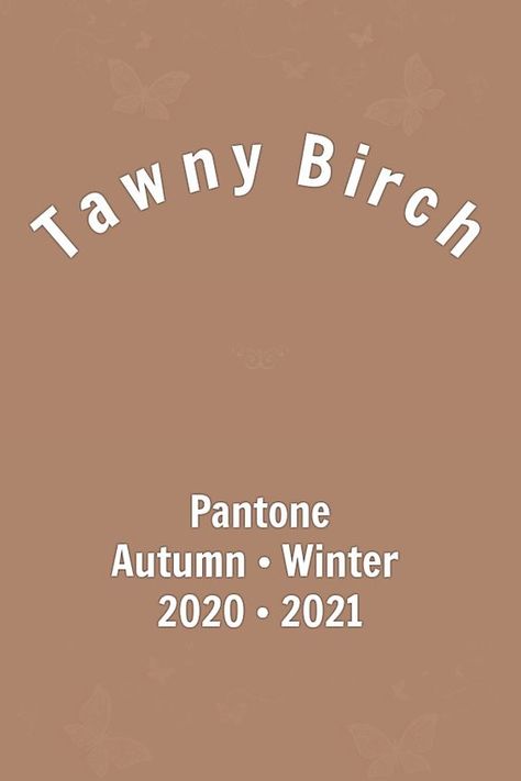 Tawny Birch 2020-2021 Pantone Autumn Winter Pantone Autumn, Year Board, Pantone 2020, Earth Tone Color, Color Pallete, Pantone Colors, Color Trends Fashion, Color Wheel, Color Of The Year