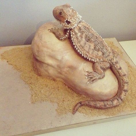 - Bearded dragon cake Lizard Cake, Cake Tricks, Fancy Sweets, Baby Elephant Cake, Bearded Dragon Food, Reptile Party, Dragon Cakes, Elephant Cake, Cakes Design