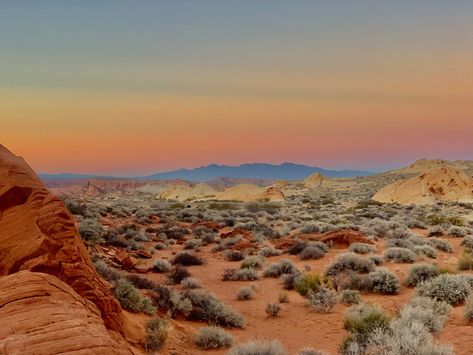 Vegas Desert Aesthetic, Las Vegas Desert Aesthetic, American Desert Aesthetic, Texas Desert Aesthetic, Las Vegas Nature, Mojave Aesthetic, Nevada Desert Aesthetic, Nevada Gothic, Reno Nevada Aesthetic