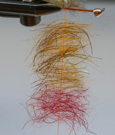 Carp Flies, Golden Pheasant, Steelhead Flies, Fly Fishing Flies Pattern, Saltwater Flies, Fly Fishing Flies Trout, Fly Patterns, Fly Tying Patterns, Fishing Flies