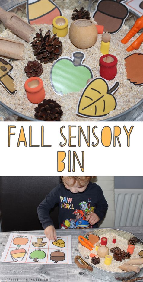 Fall sensory bin ideas. Autumn sensory bin for toddlers and preschoolers. Autumn Physical Activities For Kids, Fun Sensory Bins, Autumn Sensory Bin, Sensory Bin For Toddlers, Kids Sensory Activities, Sensory Bin Ideas, Fall Sensory Bin, Fall Sensory, Toddler Classroom