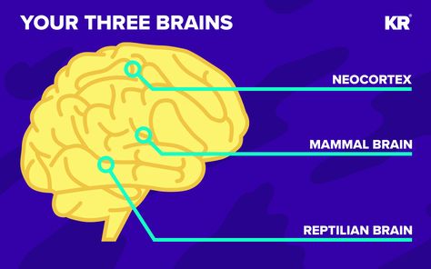 Don’t freak out, but I’m here to tell you you’ve got a reptilian brain. No, I’m not confirming any lizard-people conspiracies. I’m talking about the physiology of our brains. Lizard Brain, Reptilian Brain, Lizard People, Social Work, Keto Diet Recipes, Understanding Yourself, Diet Recipes, Keto Diet, To Tell