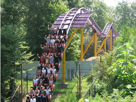 Best Amusement Parks In Us, Bush Gardens Williamsburg, Amusement Park Ideas, Roller Coaster Park, Fair Lights, Best Roller Coasters, Busch Gardens Williamsburg, Band Trip, Best Amusement Parks