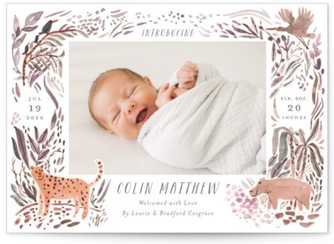 Jungle Friends Birth Announcements Announcement Illustration, Unique Birth Announcement, Birth Announcement Cards, Jungle Painting, New Baby Greetings, Paper Bag Gift Wrapping, Birth Announcement Photos, Graduation Greetings, Graduation Thank You Cards