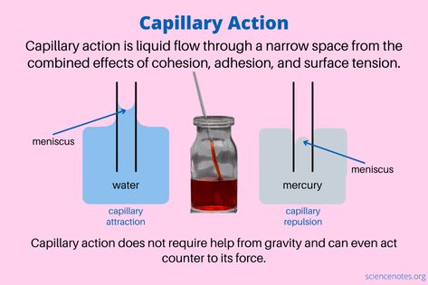 Capillary Action - What It Is and How It Works Capillary Action, Intermolecular Forces, Capillary Action Experiment, Solid Liquid Gas Examples, Kinetic Theory Of Gases Notes, Paper Chromatography, Mechanical Properties Of Fluids, Osmotic Pressure, Fountain Pen Drawing