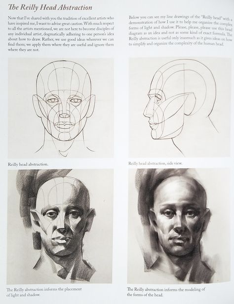 Reilly Head Abstraction Method By Nathan Fowkes Frank Reilly Method, Asaro Head Method, The Reilly Method, Reily Method Head, Reilly Method Step By Step, Reilly Method Head, Reilly Head, Reilly Abstraction, Frank Reilly